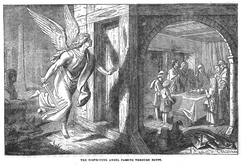The Destroying Angel Passes through Egypt